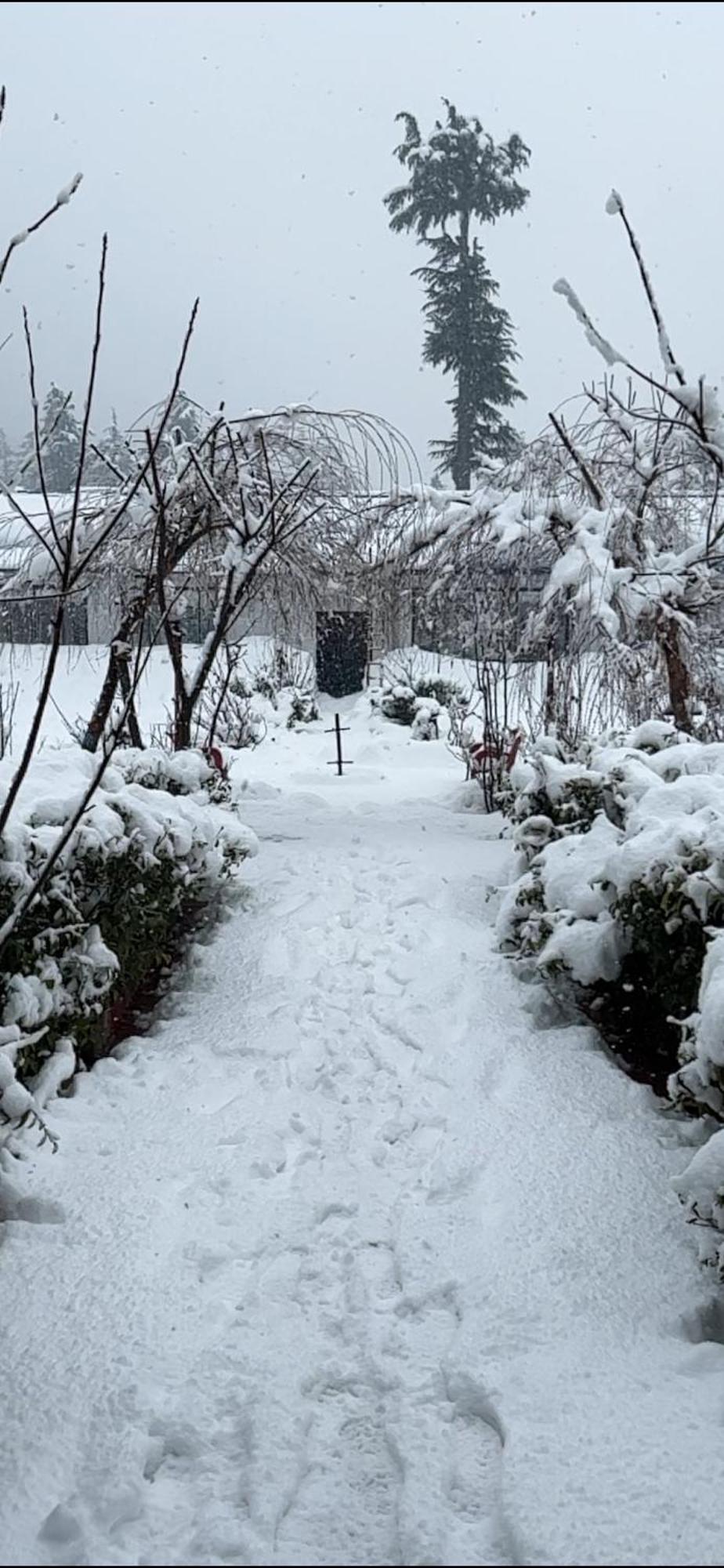 Relax Cottages & Resort Kalam Extérieur photo